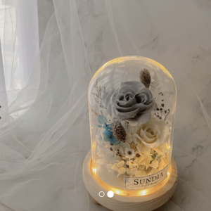 莫蘭迪藍永生花玻璃罩夜燈